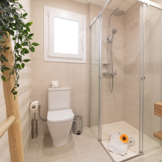 Bathroom equipped with WC, countertop washbasin, and shower with a glass screen, featuring a practical and tidy design.